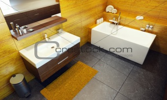 Modern interior design of a bathroom