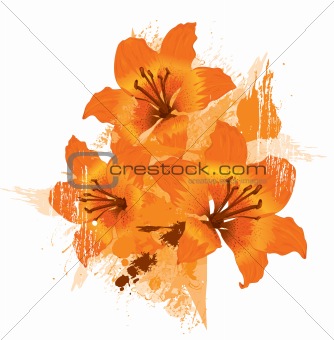 Three orange lily, vector grunge floral background 