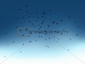 Flock of flying birds in blue sky. Vector