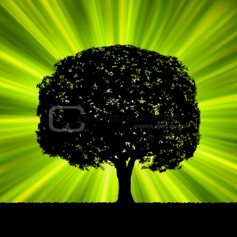 Tree with green burst template. EPS 8