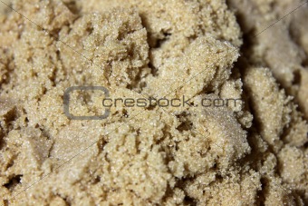 Brown Sugar Close-up
