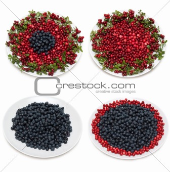Cowberry and whortleberry on plate framed green branch