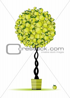 Energy apple tree in pot for your design