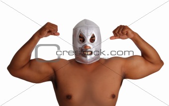 mexican wrestling mask silver fighter gesture