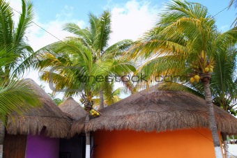 Tropical Caribbean Palapas hut coconut palm trees