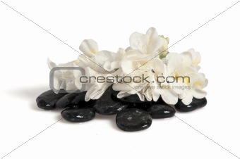 Rocks, flowers and towels