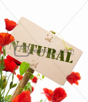 Natural sign into nature