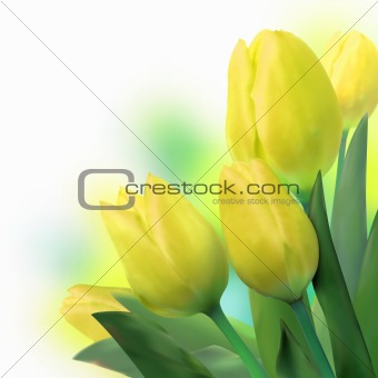 Bouquet of beautiful yellow tulips. EPS 8