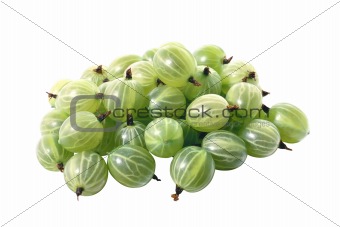 Gooseberries isolated on white background