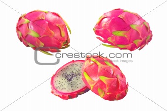 prickly pear isolated on white 