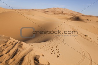 Moroccan desert dune, merzouga