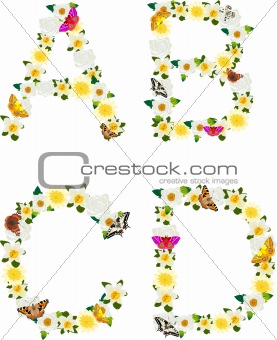 Alphabet of flowers and butterflies-A, B, C, D.