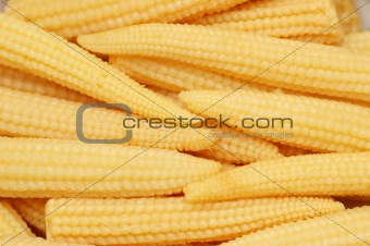 Baby corn cobs arranged as a background