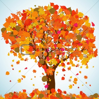 Beautiful autumn tree for your design. EPS 8