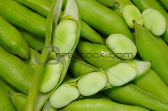 Habas - Peruvian Beans