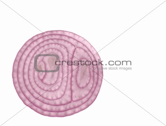 Onion Slice