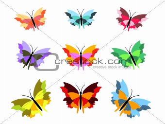 Nine Butterflies