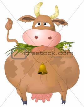 Thick silly cow eats grass