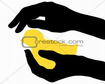 Hands with chick