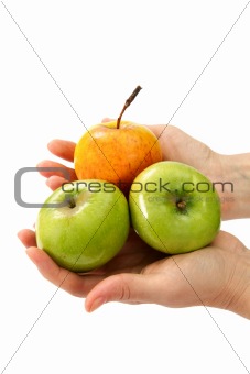 Beautiful woman's hands holding apple