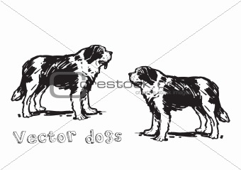 Dog - Vector