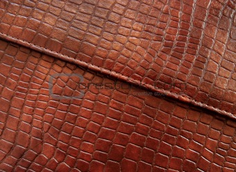 Leather with crocodile dressed texture.
