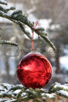 Beautiful Christmas bauble on fir tree branches