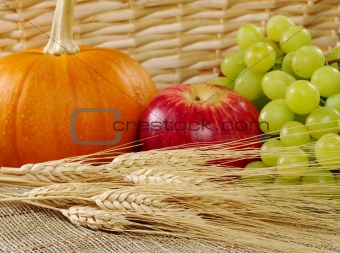 Wheat, Grapes, Apple and Pumpkin
