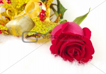 Red Rose and Golden Present