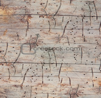 seamless wooden texture