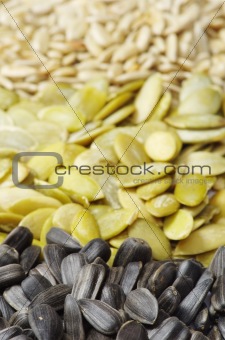  seeds