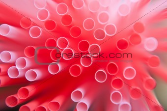 Closeup of a group of plastic straws