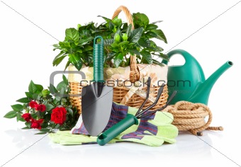 garden equipment with green plants and flowers