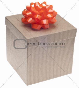 Closed Brown Paper Recycled Gift Box with Bow