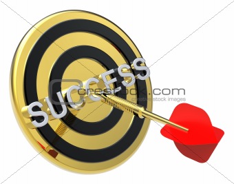 Red dart on the gold target with success text on it.