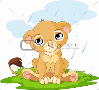 Sad lion cub