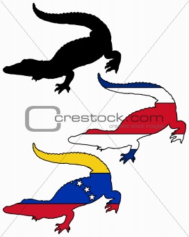 Crocodile South America