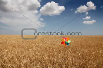 toy wind turbine at wheat field 