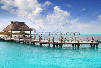Contoy island Mexico wood pier nature reserve