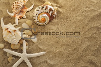 shells and stones on sand