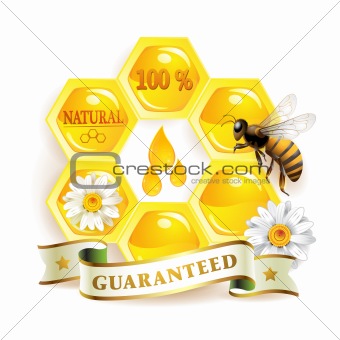 Honeycombs and bee