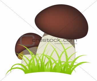 Mushrooms