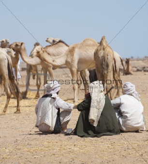 Bedouin traders at a camel market