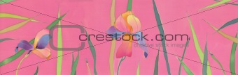 irises background