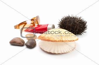 Sunglasses on white  background with seashell, stones, sea-urchin and sun block
