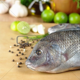 Fish Called Tilapia