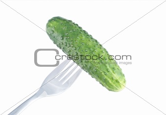 Cucumber on fork