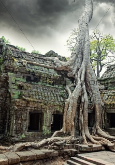  temple of Ta Prohm in Angkor Wat 