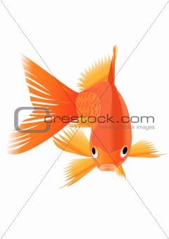 Goldfish. Vector illustration.