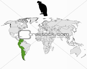 Andean Condor distribution